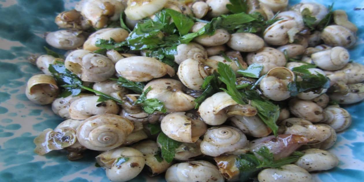 L'immagine mostra i babbaluci, lumache tipiche della cucina palermitana
