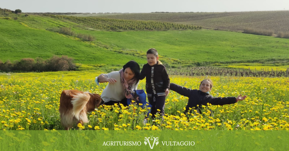 Una famiglia: una donna, un bambino e una bambina insieme al cane seduti su un prato verde in primavera ricco di margherite gialle. Sullo sfondo i campi della campagna trapanese verdi. Glamping in Sicilia in famiglia.