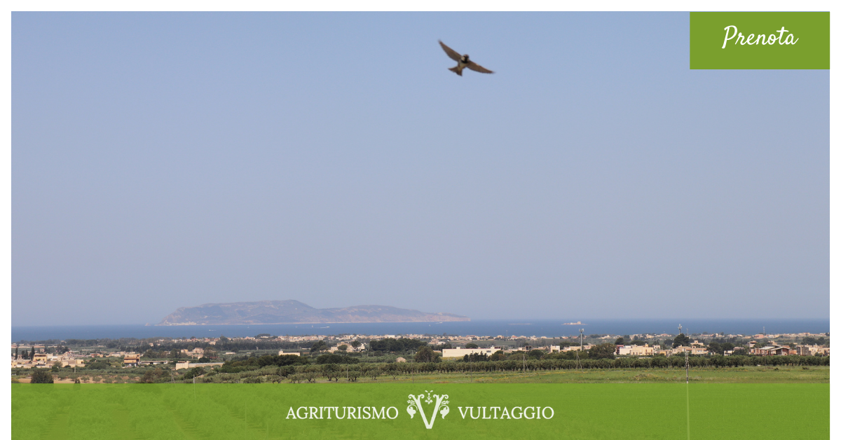 Vista dall'alto agrumeto e campagna trapanese, mare all'orizzonte con le isole Egadi ed un uccellino che vola in cielo.